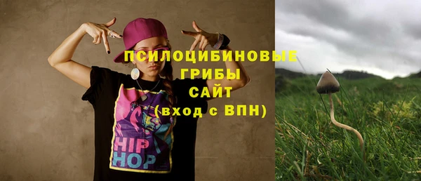 мет Аркадак