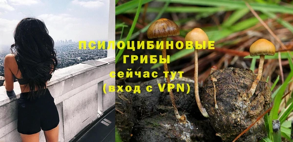 мет Аркадак