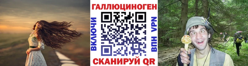 Галлюциногенные грибы Psilocybine cubensis  Минусинск 